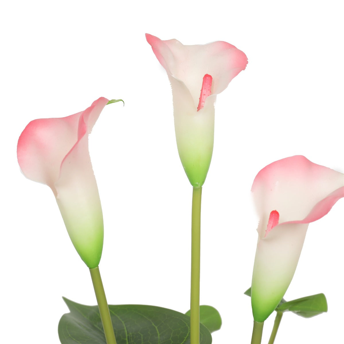 50cm Artificial Flowering White & Pink Peace Lily