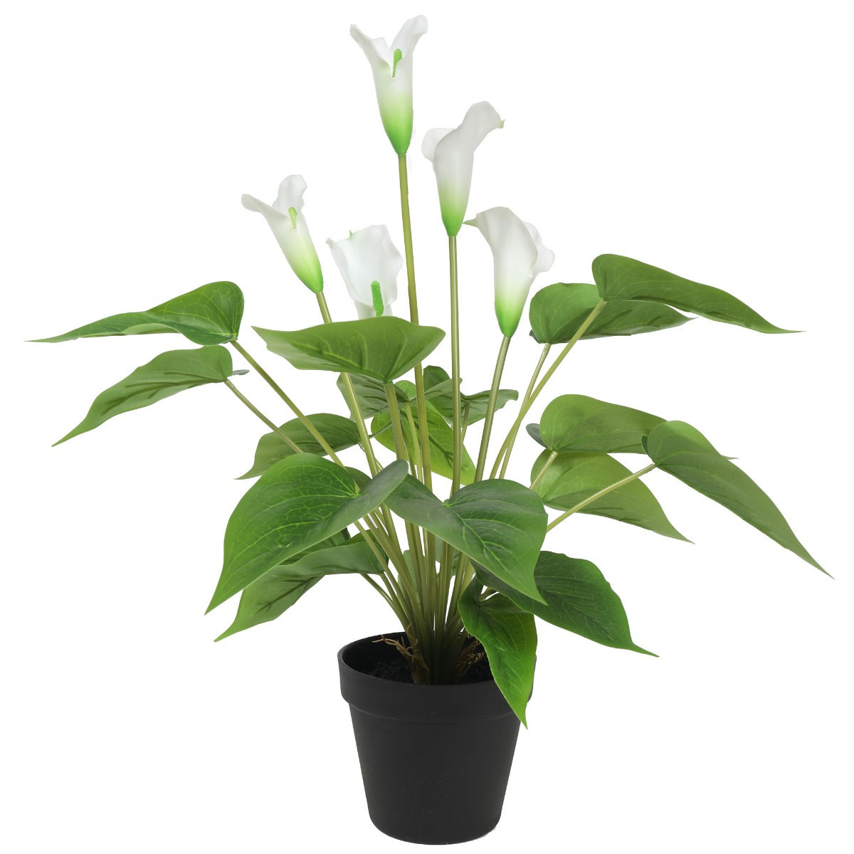 50cm Artificial Flowering White Peace Lily
