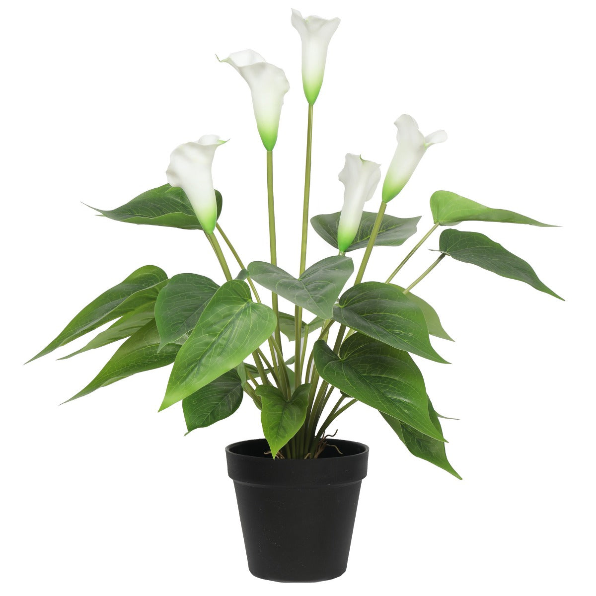 50cm Artificial Flowering White Peace Lily