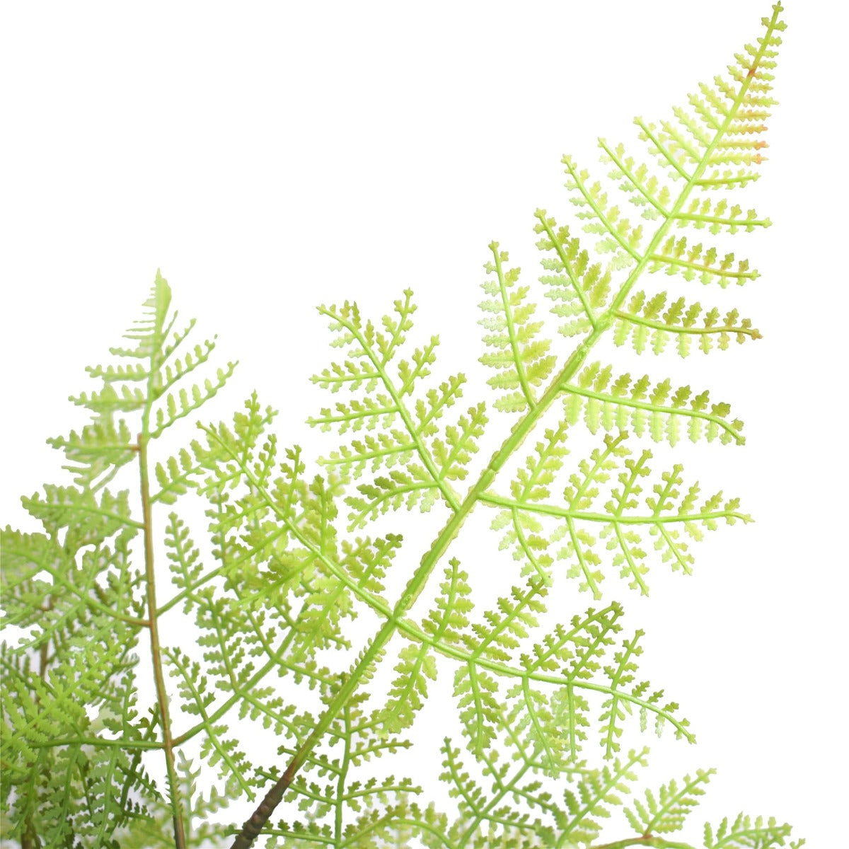 90cm Faux Natural Fern Tree with Pot