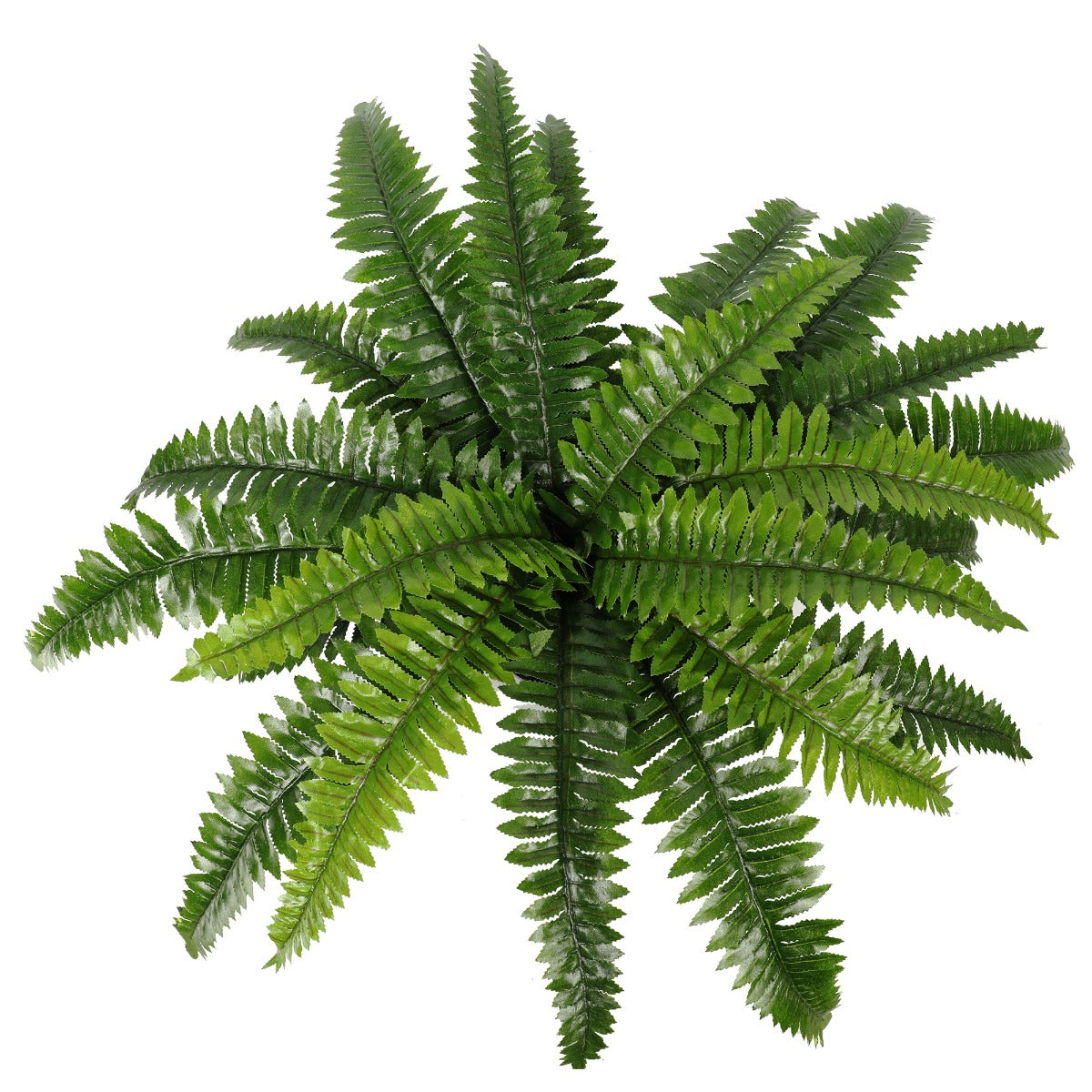 50cm Artificial Potted Natural Green Boston Fern