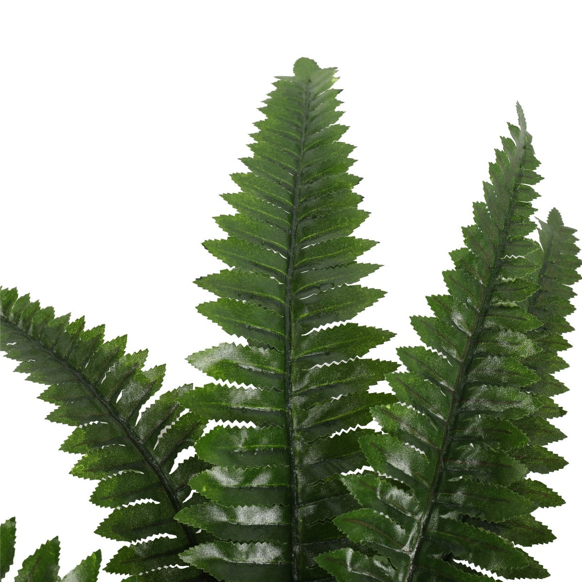 50cm Artificial Potted Natural Green Boston Fern