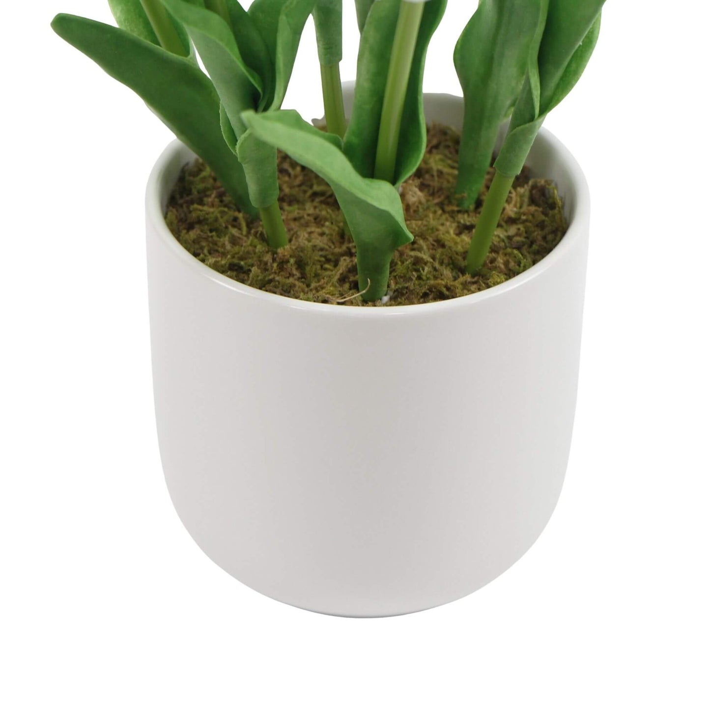 35cm Artificial White Tulips with Ceramic Bowl 35cm