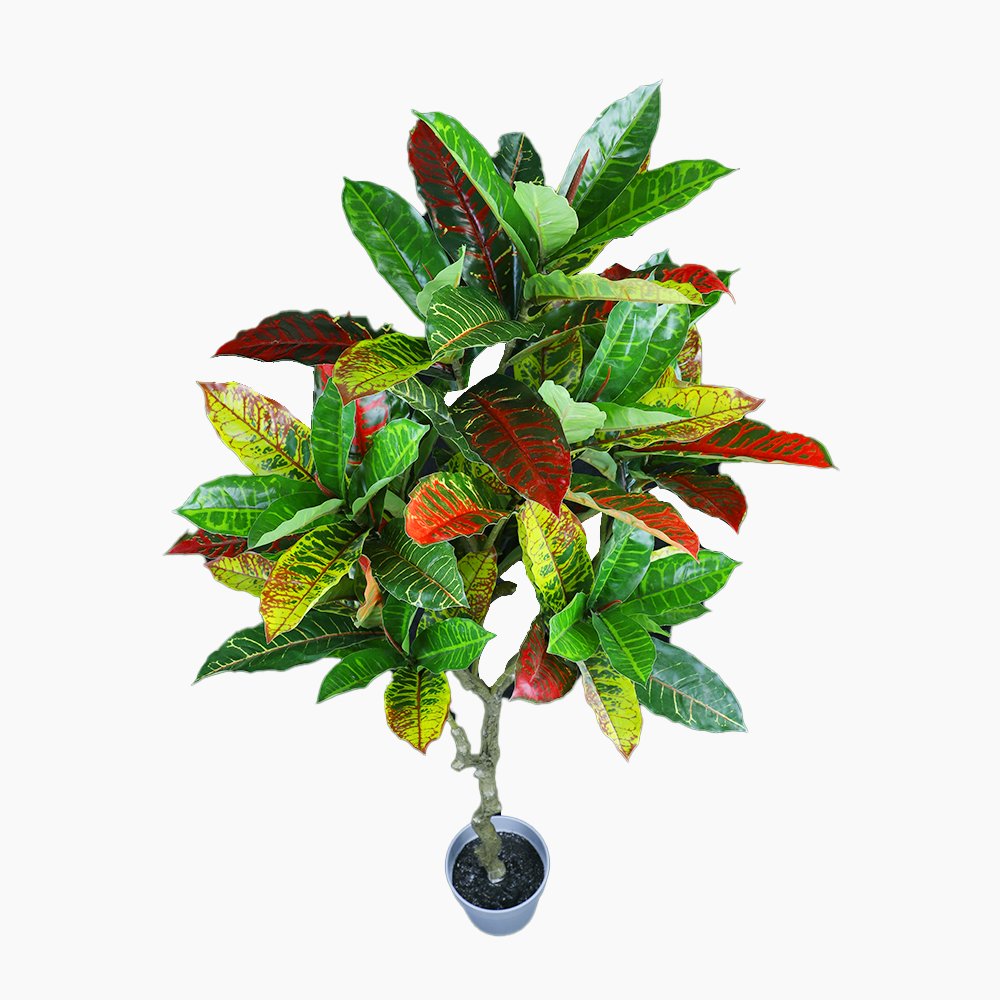 125cm Artificial Potted Codiaeum Plant