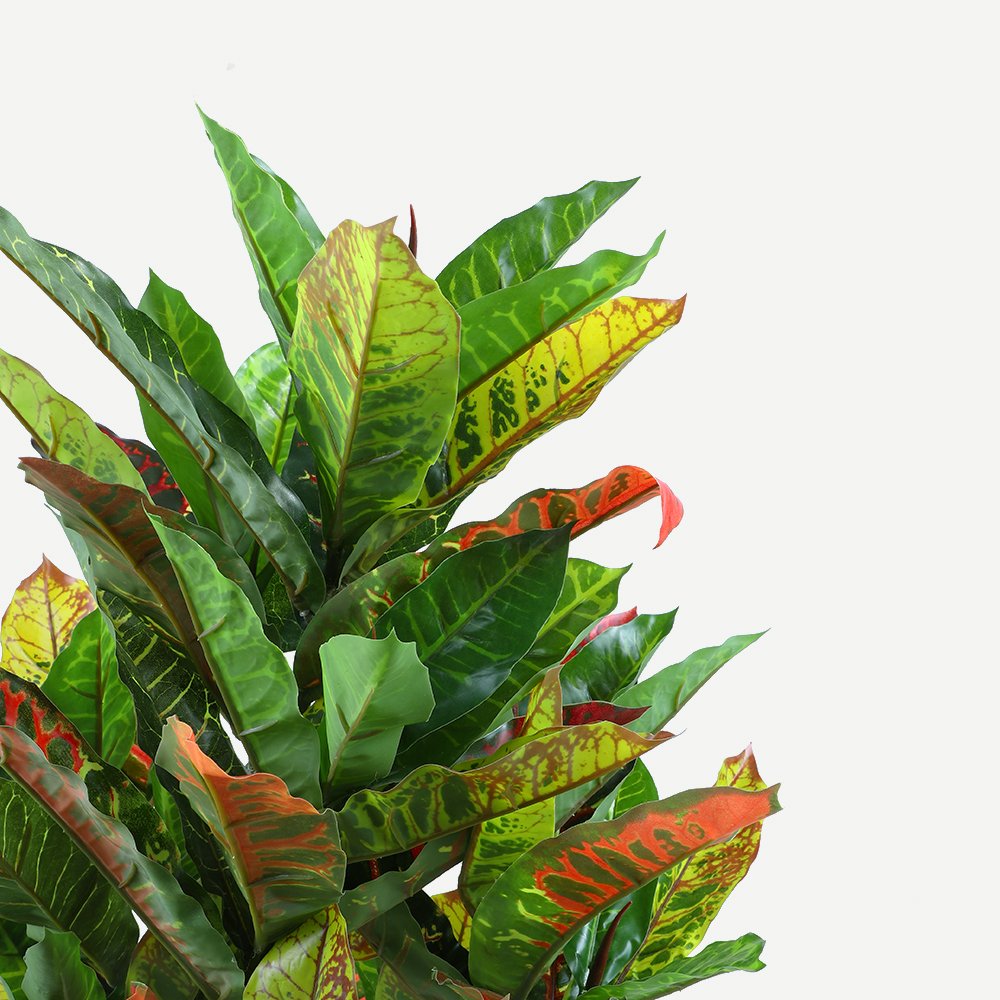 125cm Artificial Potted Codiaeum Plant