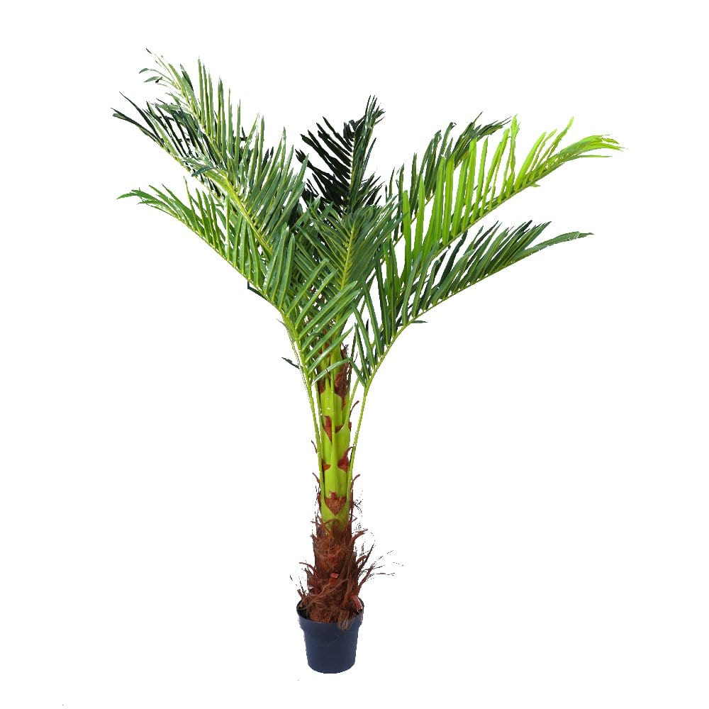 180cm Artificial Phoenix Palm