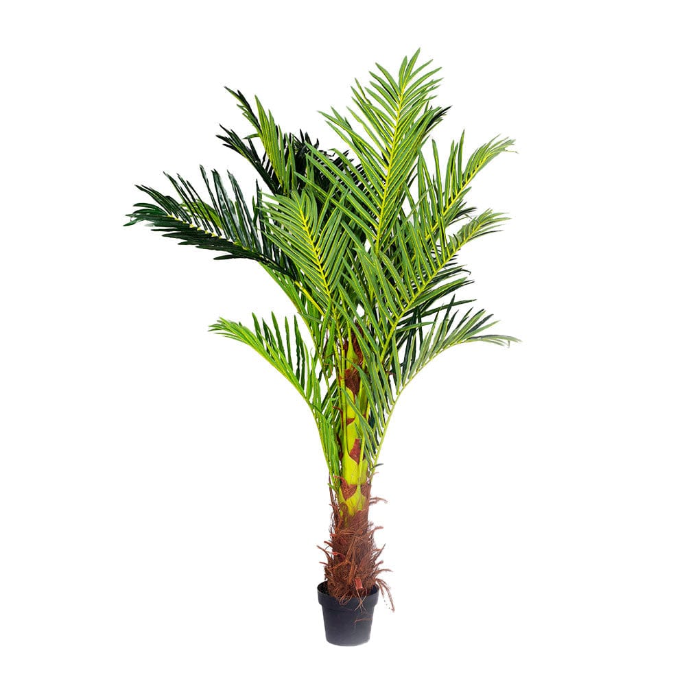 180cm Artificial Phoenix Palm