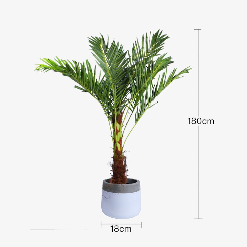 180cm Artificial Phoenix Palm