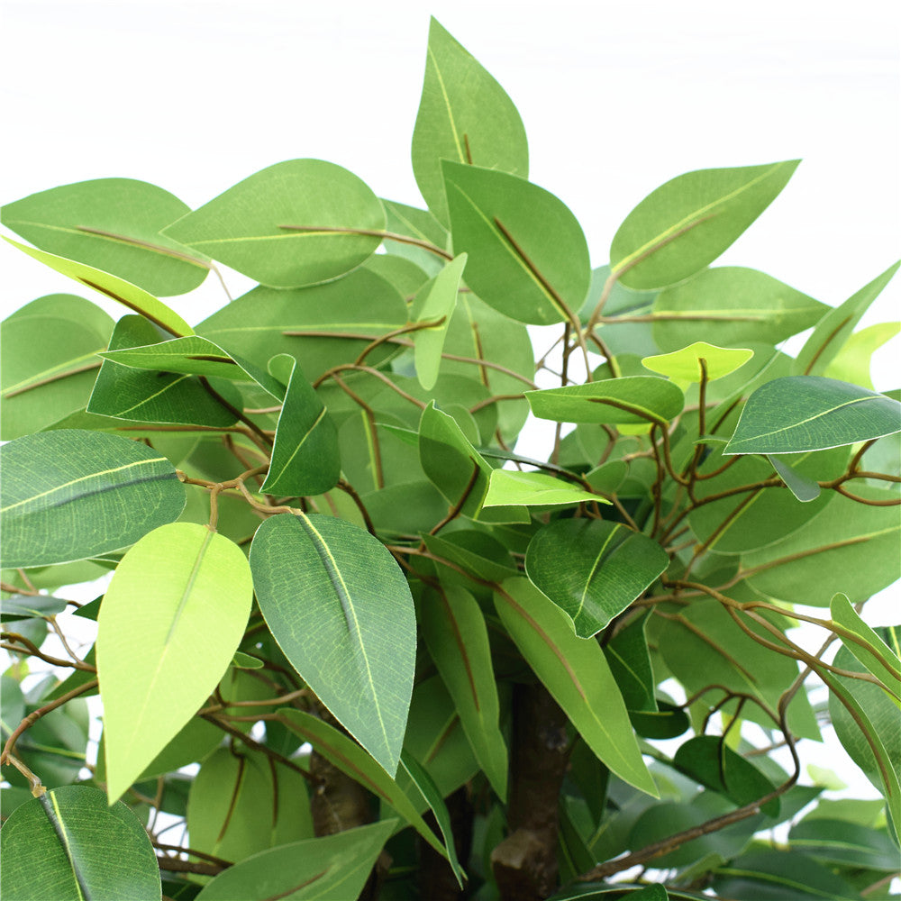 145cm Artificial Bushy Ficus Tree