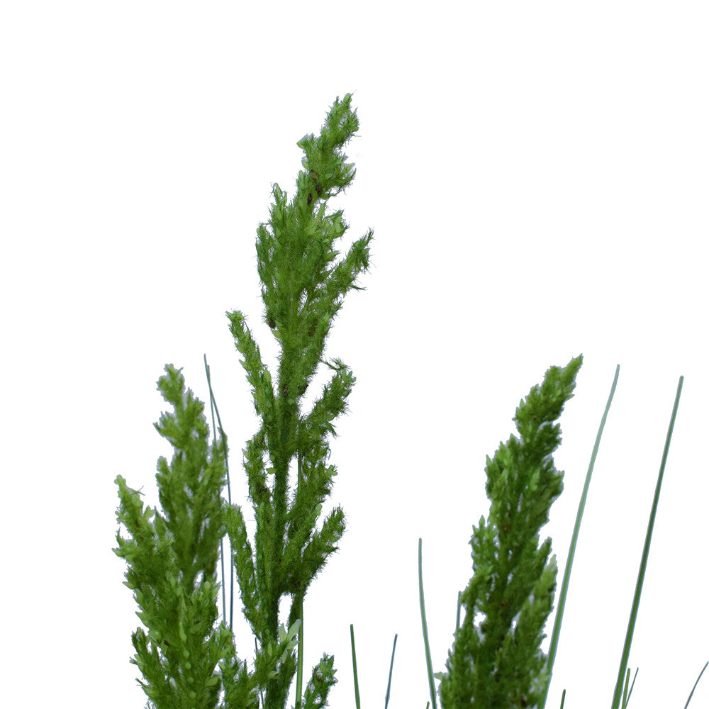120cm Artificial Flowering Native Grass