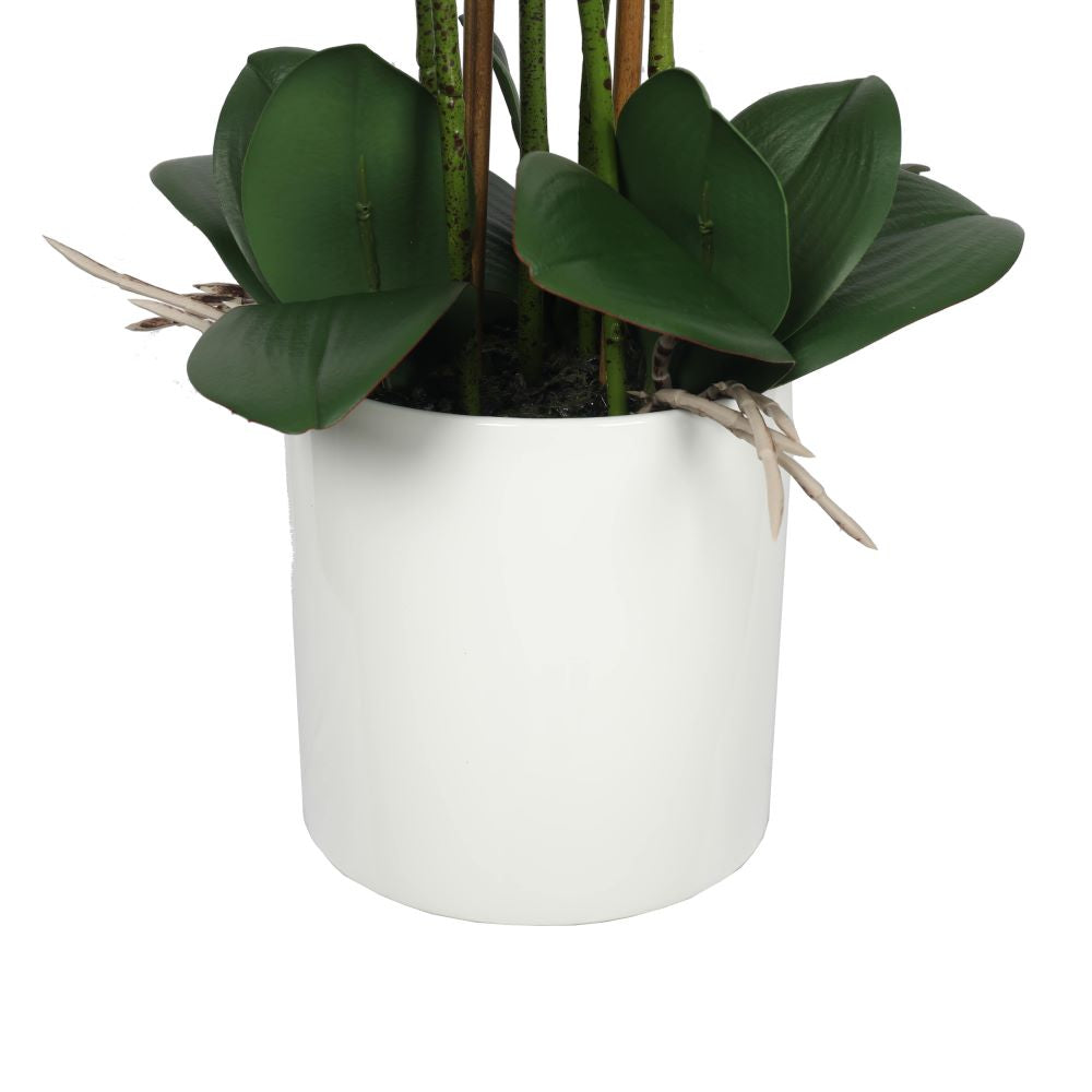 65cm Large Multi-Stem White Potted Faux Orchid