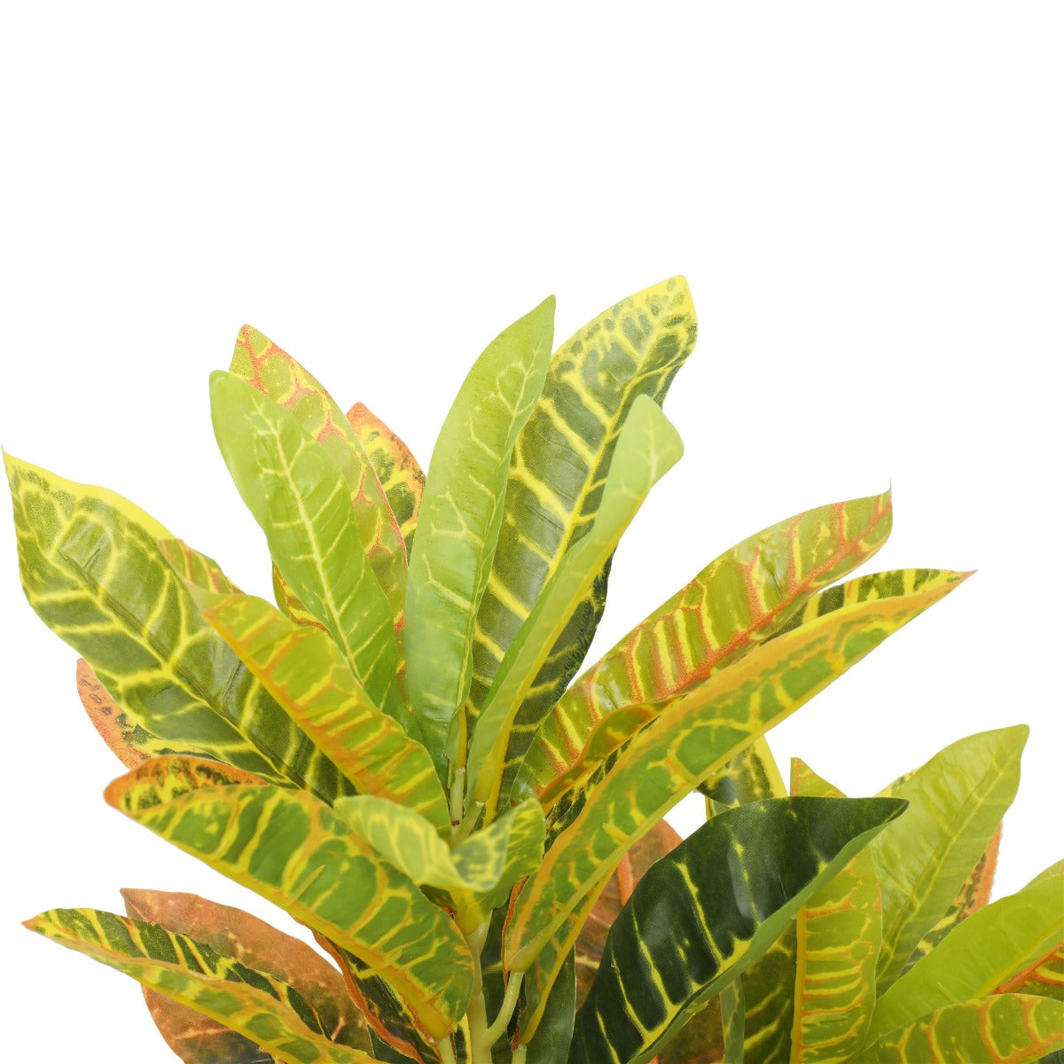 55cm Artificial Potted Flaming Zebra (Crotons)
