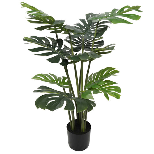 120cm Split Philodendron with Pot