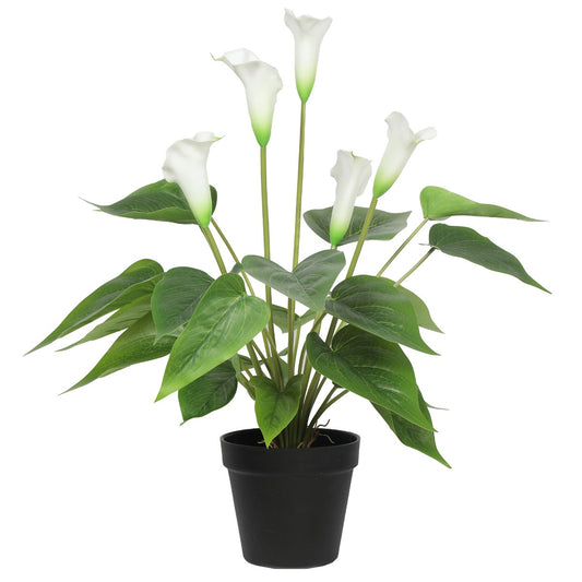 50cm Artificial Flowering White Peace Lily