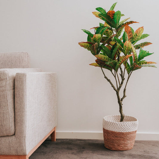 125cm Artificial Potted Codiaeum Plant