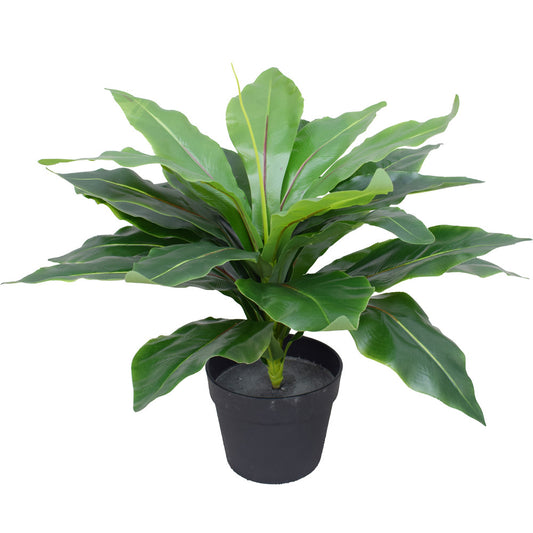 50cm Artificial Potted Wide Leaf Birds Nest Fern