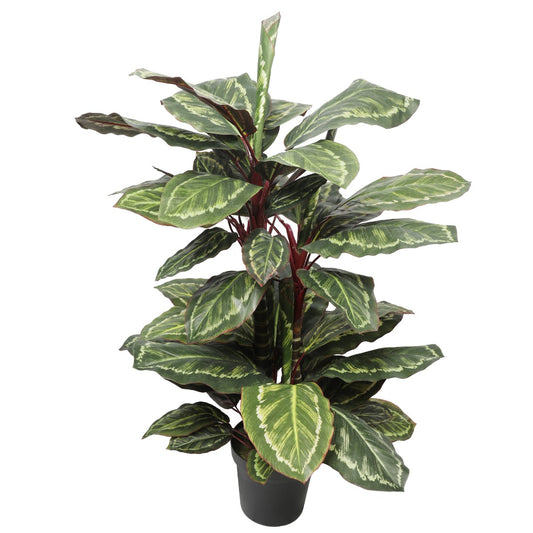 90cm Artificial Wide Leaf Cordyline Plant