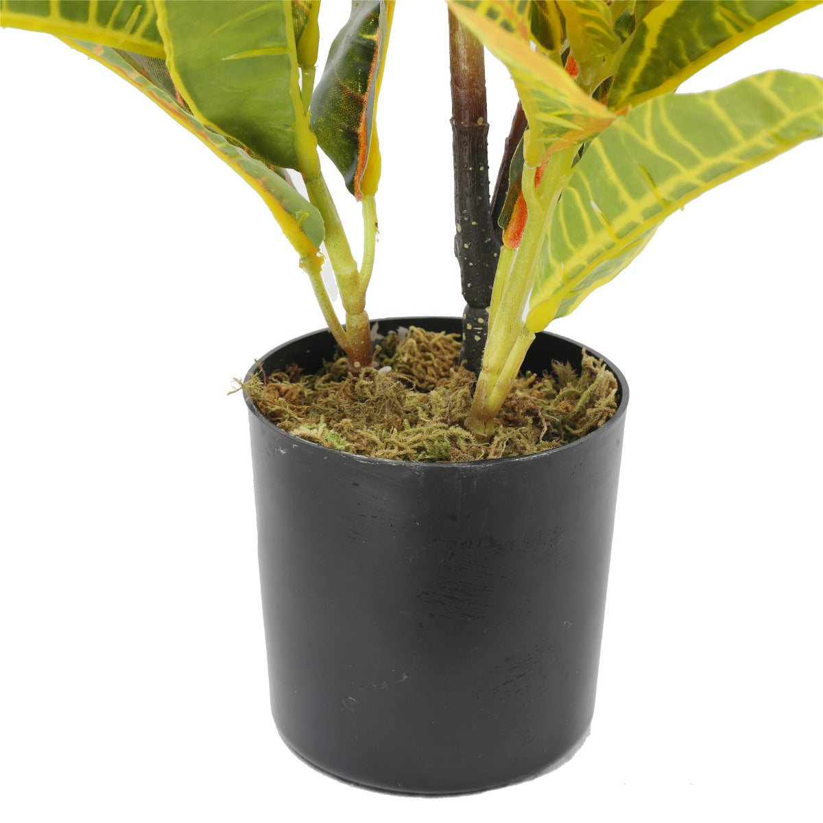 55cm Artificial Potted Flaming Zebra (Crotons)