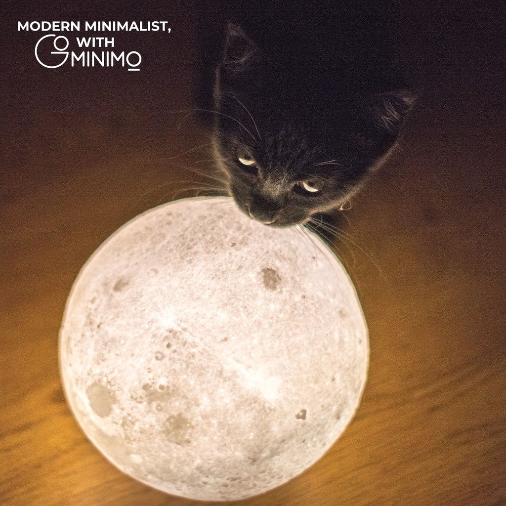GOMINIMO Dark Brown Magnetic Levitating 3D Moon Lamp