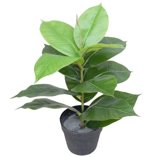 55cm Artificial Potted Rubber Plant