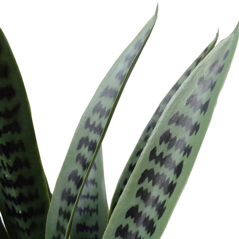 60cm UV Resistant Artificial Snake Plant
