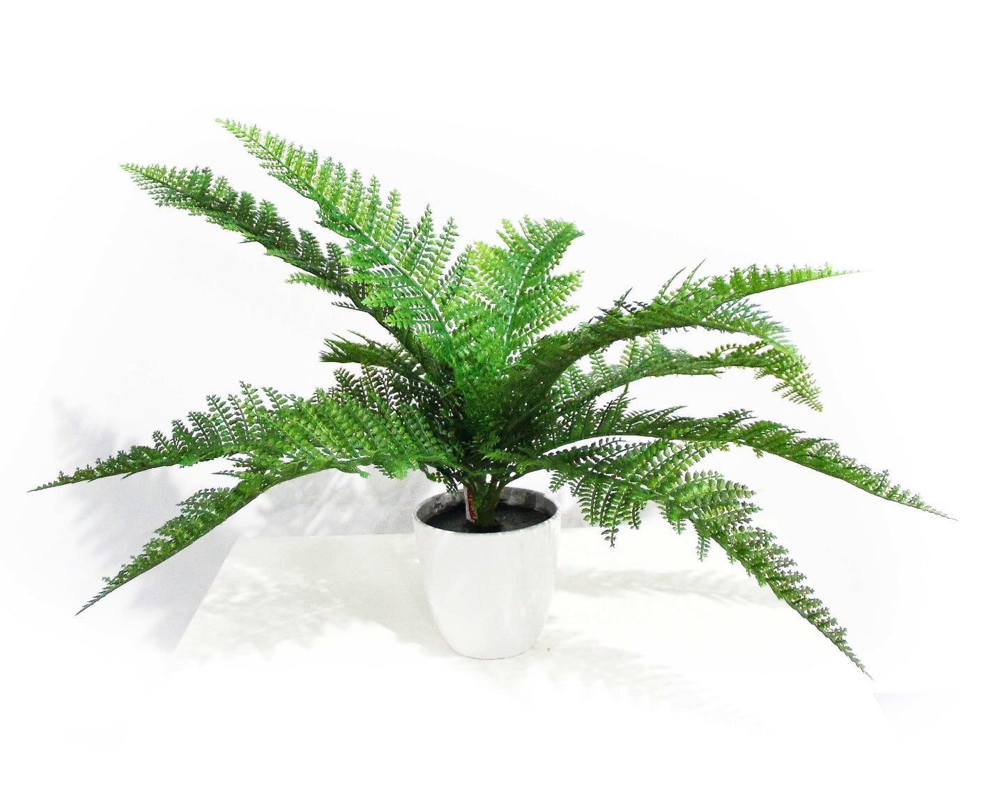 Dense Fern Stem 45cm - BM House & Garden