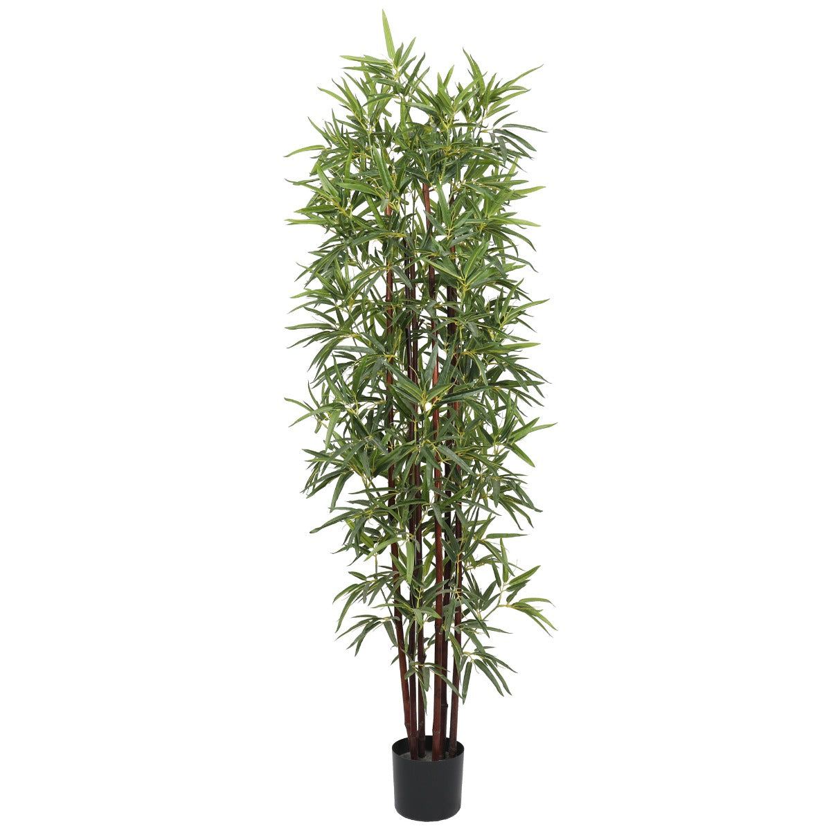 Artificial Bamboo Plant Dark Trunk (Potted) 180cm - BM House & Garden