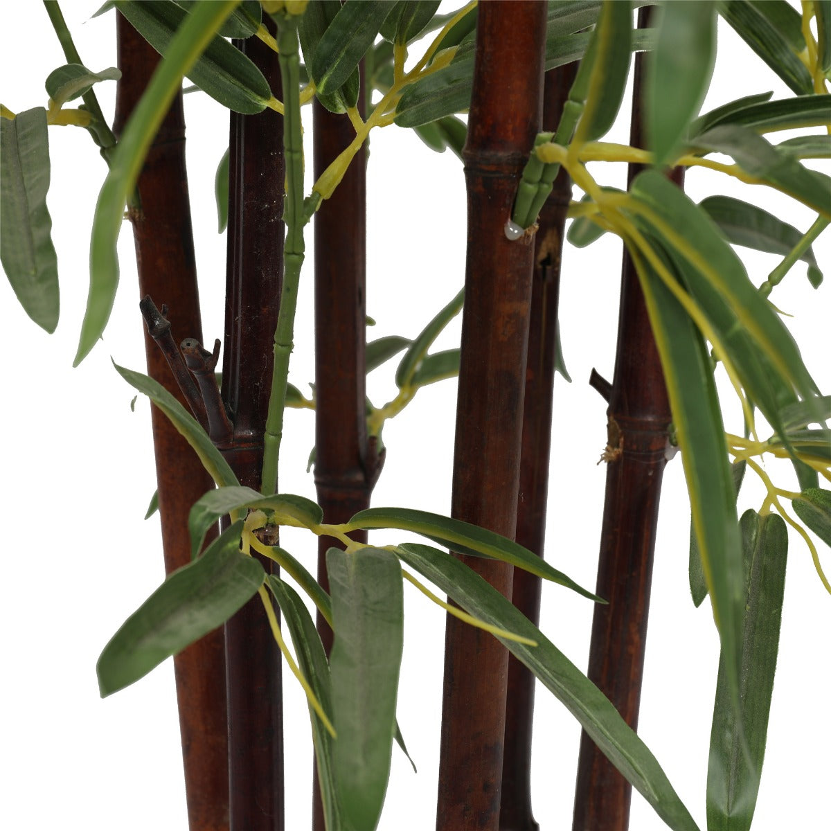 Artificial Bamboo Plant Dark Trunk (Potted) 180cm - BM House & Garden