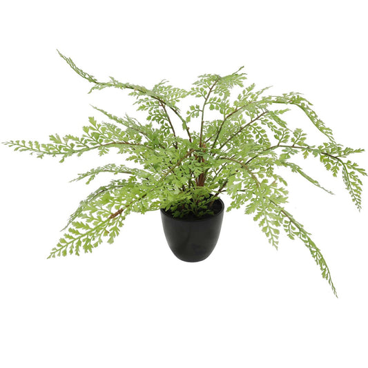 Faux Small Potted Fern 35cm - BM House & Garden