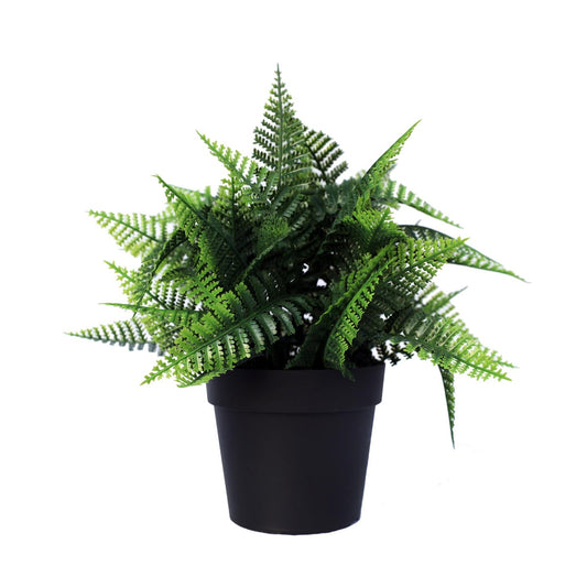 Small Potted Artificial Persa Boston Fern Plant UV Resistant 20cm - BM House & Garden