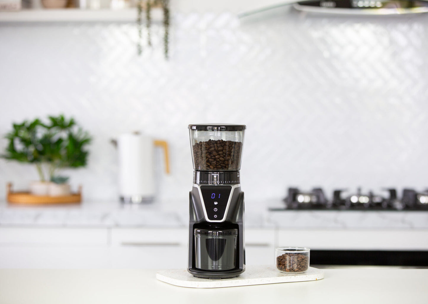 Electric Burr Coffee Bean Grinder/ 10 Cups/ 31 Grind Settings - BM House & Garden