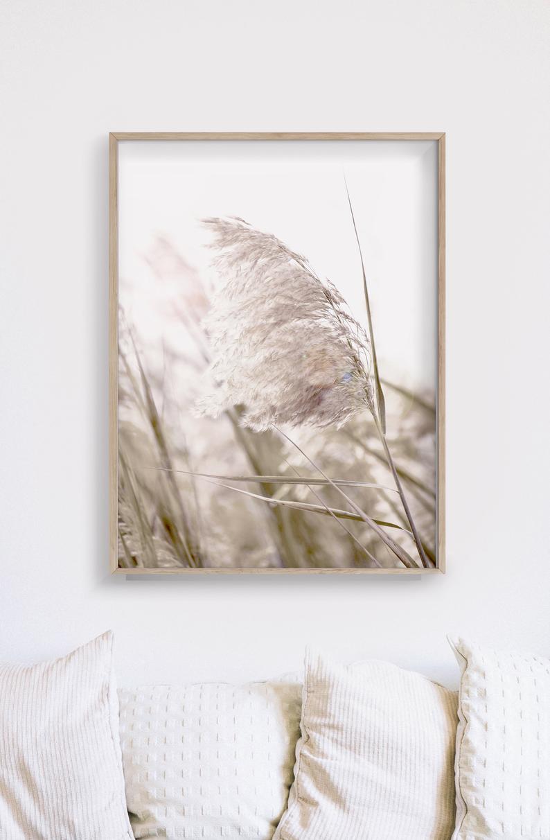 50cmx70cm Pampas Grass 2 Sets Wood Frame Canvas Wall Art - BM House & Garden