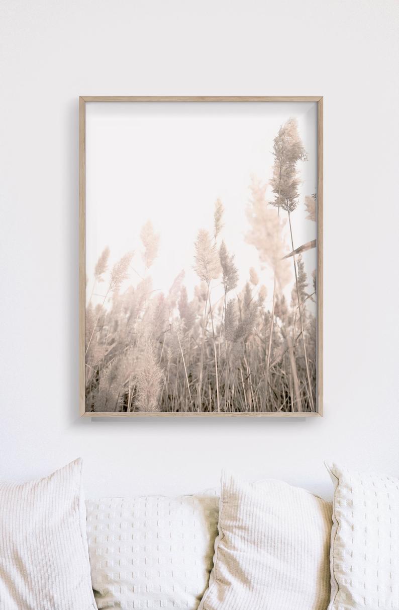 50cmx70cm Pampas Grass 2 Sets Wood Frame Canvas Wall Art - BM House & Garden