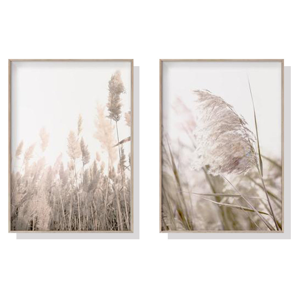 50cmx70cm Pampas Grass 2 Sets Wood Frame Canvas Wall Art - BM House & Garden