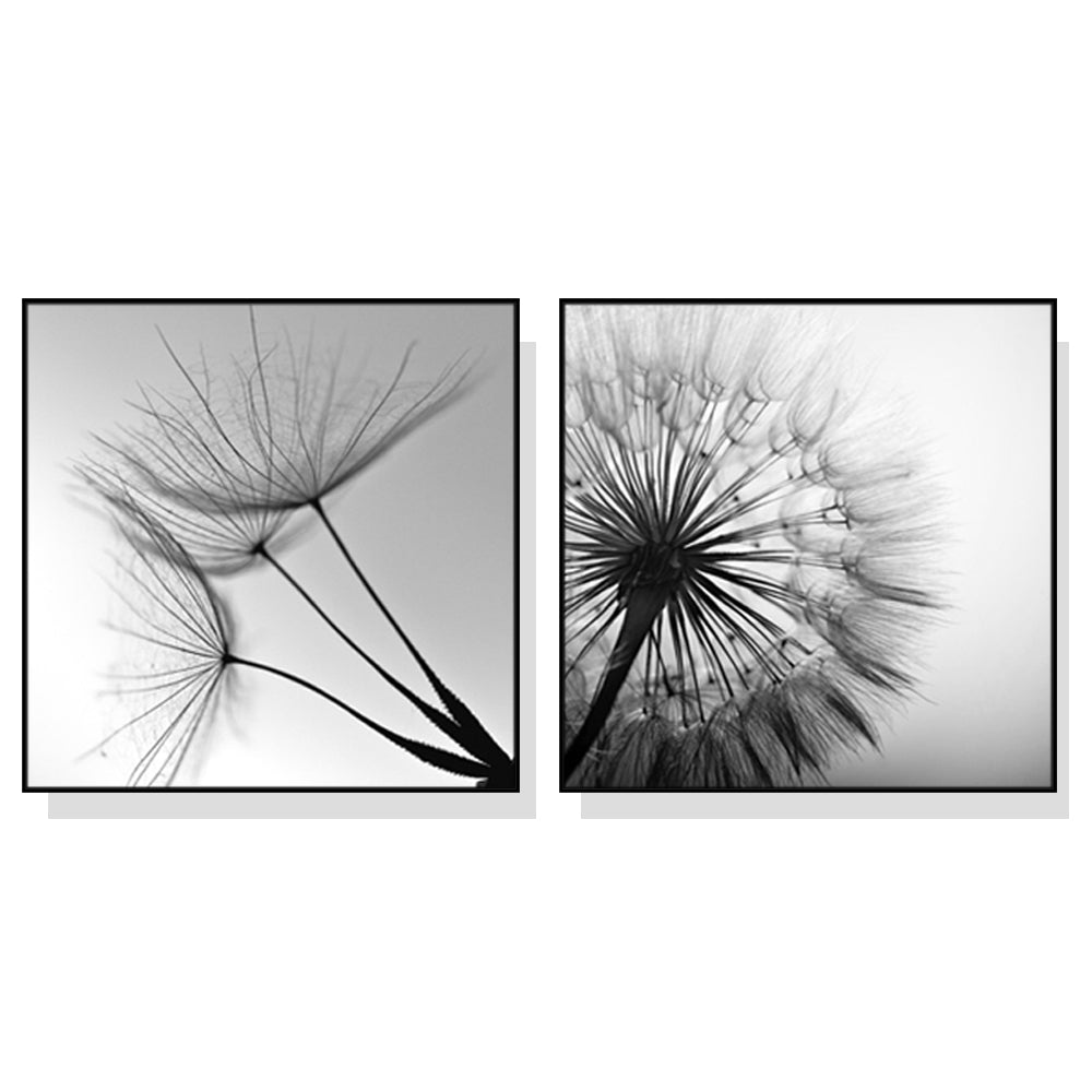 50cmx50cm Black and white dandelion 2 Sets Black Frame Canvas Wall Art - BM House & Garden