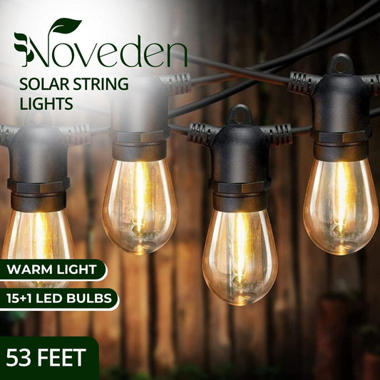NOVEDEN 53FT 15+1 Bulbs LED Outdoor String Lights