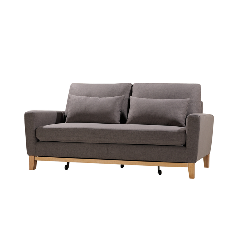 SHASA Grey Taupe 2 Seater Pull-out Sofa Bed