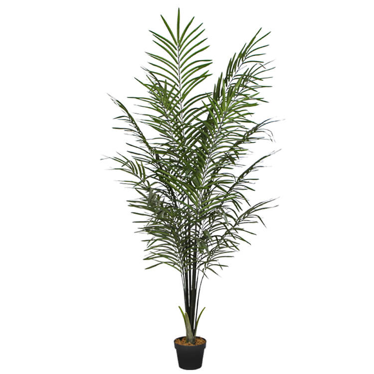 Artificial Areca Palm Black Trunks 190 cm - BM House & Garden