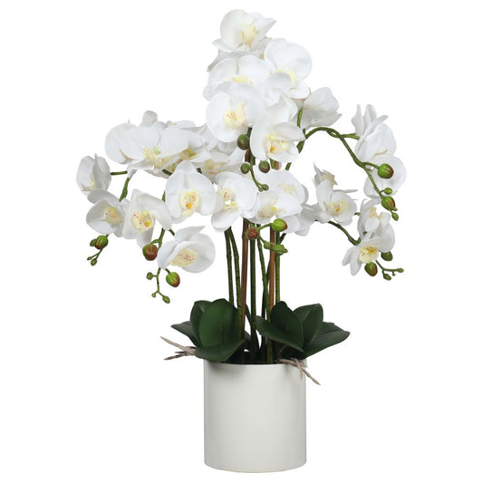 Large Multi-Stem White Potted Faux Orchid 65cm - BM House & Garden