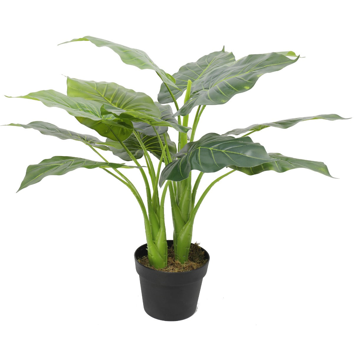 Artificial Potted Taro Plant / Elephant Ear 70cm - BM House & Garden