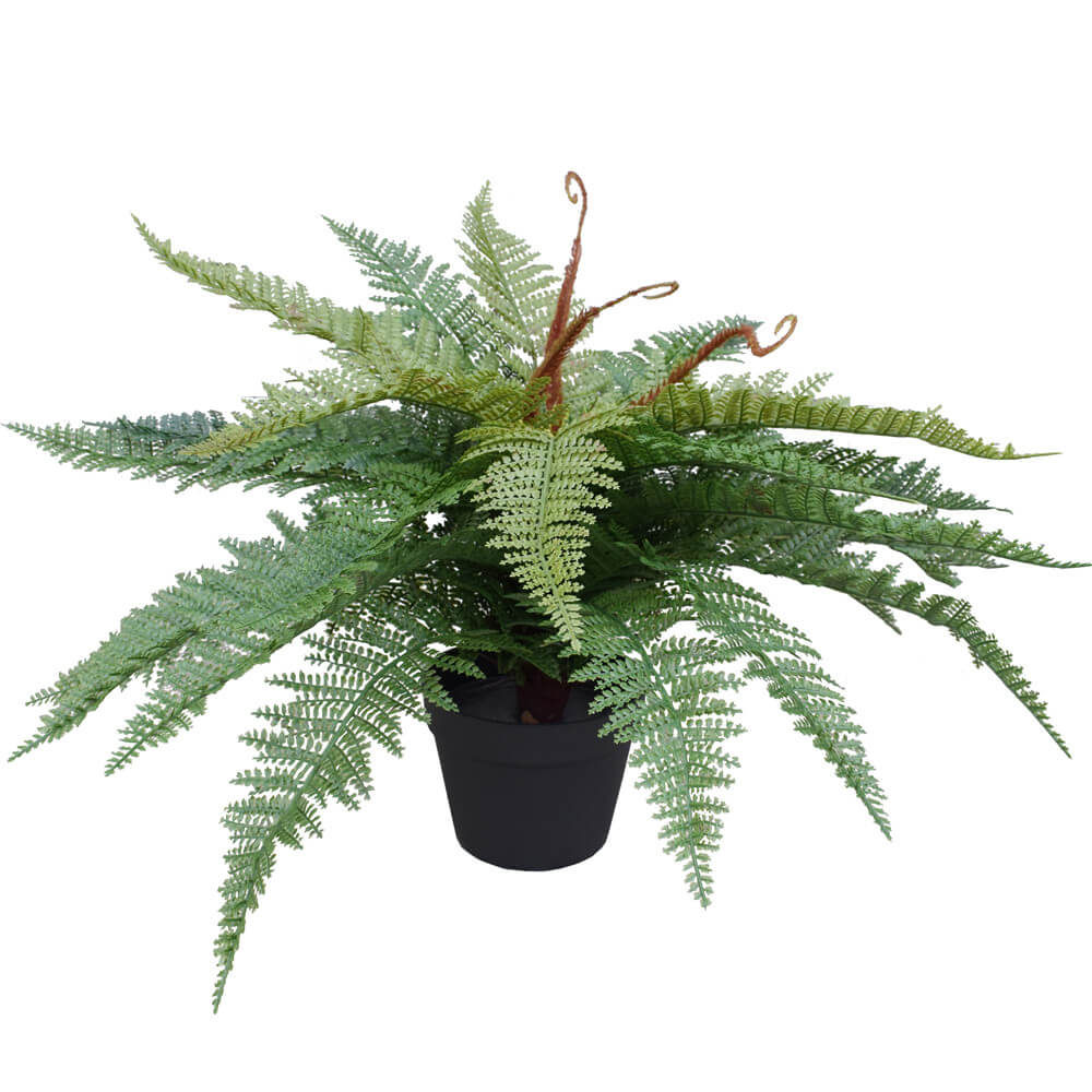 Artificial Potted Fishtail Fern 55cm - BM House & Garden